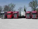 Bus fleet - Livestock Transport
